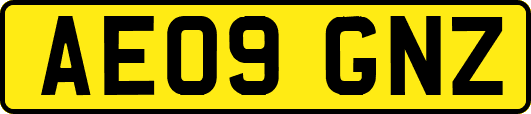 AE09GNZ