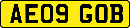 AE09GOB