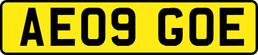 AE09GOE