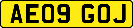 AE09GOJ
