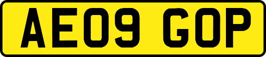 AE09GOP