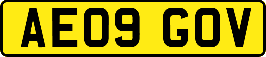 AE09GOV