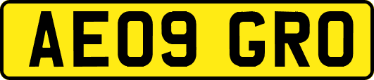 AE09GRO