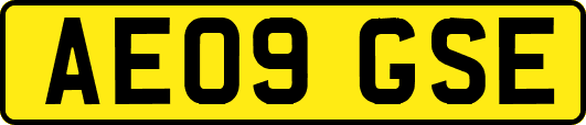 AE09GSE