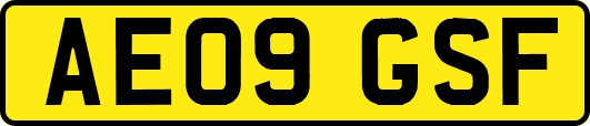 AE09GSF