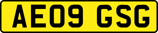AE09GSG