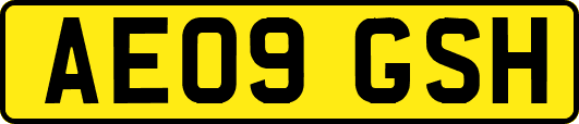 AE09GSH