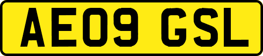 AE09GSL