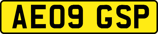 AE09GSP