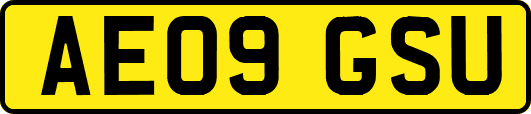 AE09GSU