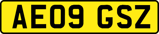 AE09GSZ