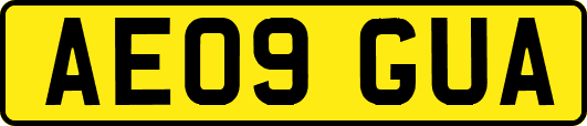 AE09GUA