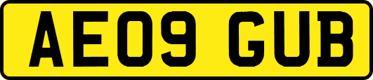 AE09GUB