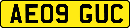 AE09GUC