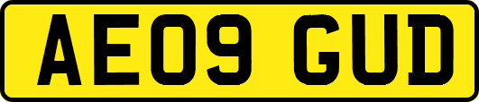 AE09GUD
