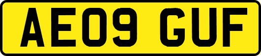 AE09GUF