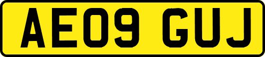 AE09GUJ