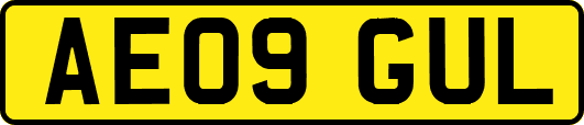 AE09GUL