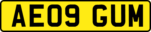 AE09GUM