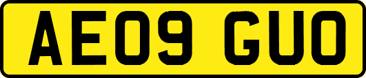AE09GUO