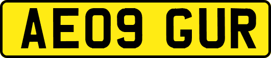 AE09GUR