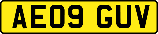 AE09GUV