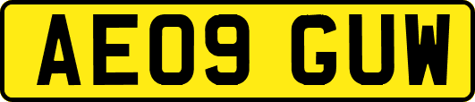AE09GUW