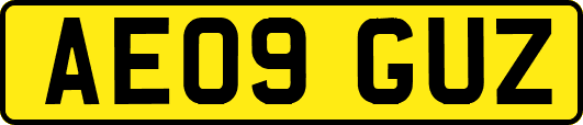 AE09GUZ