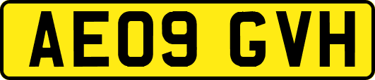 AE09GVH