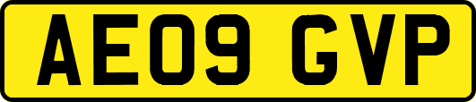 AE09GVP