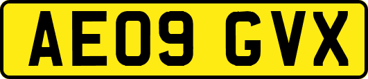 AE09GVX