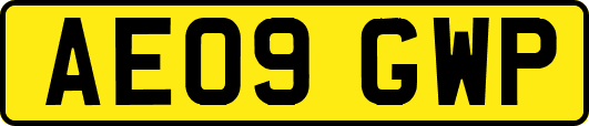 AE09GWP