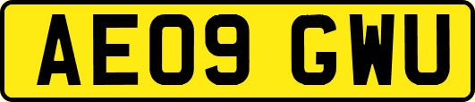 AE09GWU