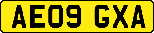 AE09GXA
