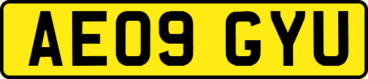 AE09GYU