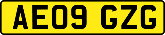 AE09GZG