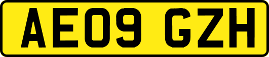 AE09GZH