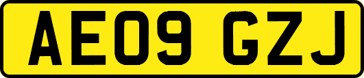 AE09GZJ
