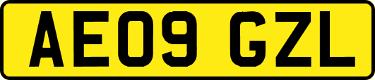 AE09GZL