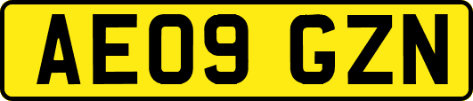 AE09GZN