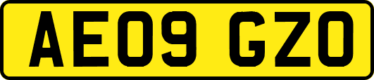 AE09GZO