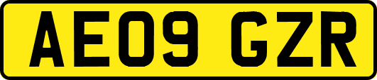 AE09GZR