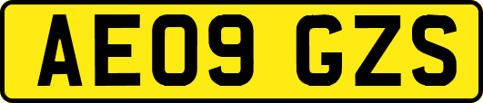AE09GZS