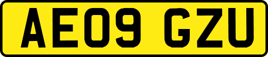 AE09GZU