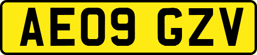 AE09GZV