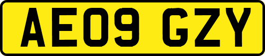 AE09GZY