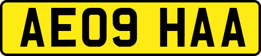 AE09HAA