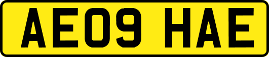 AE09HAE