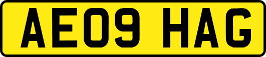 AE09HAG