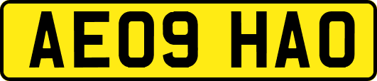 AE09HAO